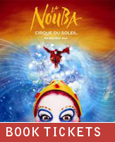 Buy tickets for Cirque Du Soleil - La Nouba at Cirque du Soleil