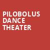 Pilobolus Dance Theater, Steinmetz Hall, Orlando