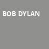 Bob Dylan, Walt Disney Theater, Orlando