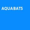 Aquabats, House of Blues, Orlando