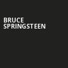 Bruce Springsteen, Amway Center, Orlando